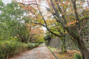 舞鶴公園の紅葉の写真