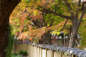 筥崎宮花庭園の紅葉の写真