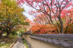 筥崎宮花庭園の紅葉の写真