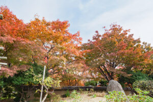 筥崎宮花庭園の紅葉の写真