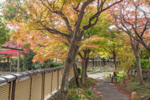 筥崎宮花庭園の紅葉の写真