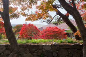 筥崎宮花庭園の紅葉の写真