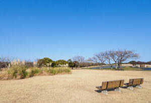 海の中道海浜公園の園内風景の写真