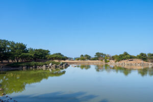 海の中道海浜公園の園内風景の写真