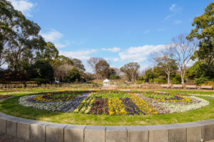 福岡市植物園の園内の写真