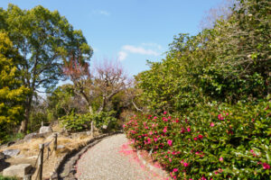 福岡市植物園の季節の花の写真