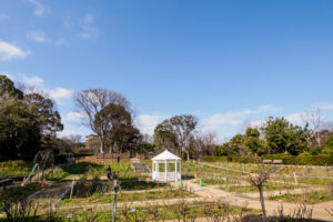 福岡市植物園の園内の写真