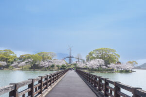 駕与丁公園の桜の写真