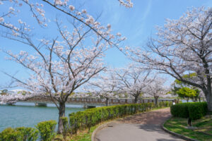 駕与丁公園の桜の写真