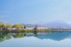 駕与丁公園の桜の写真