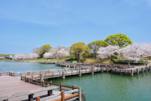 駕与丁公園の桜の写真