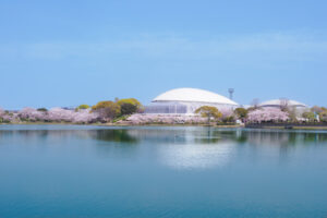 駕与丁公園の桜の写真