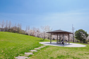 駕与丁公園の桜の写真
