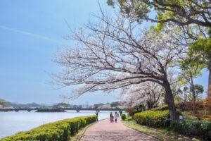 駕与丁公園の桜の写真