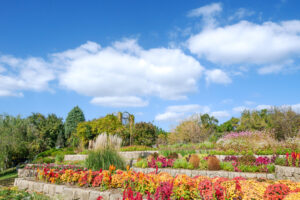 海の中道海浜公園の季節の花の写真
