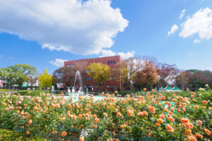 石橋文化センターのバラの写真
