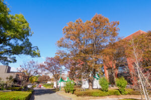 石橋文化センターの紅葉の写真