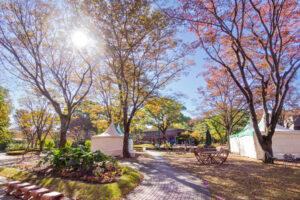 石橋文化センターの紅葉の写真