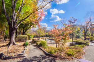 石橋文化センターの紅葉の写真